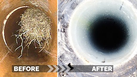 Before After Sewer Repair